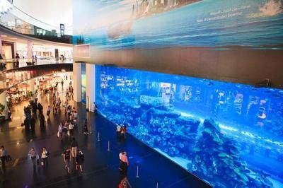 魚缸大牌：森森魚缸產品線介紹