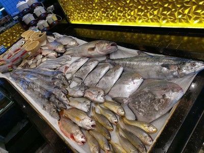 汕頭杜龍魚價格行情（汕頭杜龍魚價格因購買地點、質(zhì)量、規(guī)格等因素有所不同）