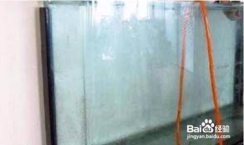 魚缸水起白霧怎么解決