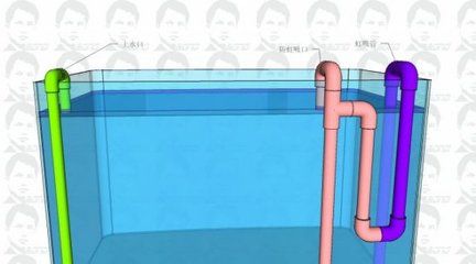 虹吸底濾的工作原理：虹吸底濾控制魚缸水位的方法 虹吸底濾的工作原理：虹吸底濾控制魚缸水位的方法 魚缸百科 第3張