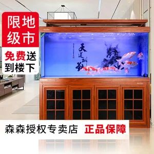 龍魚的魚缸要求多高：關(guān)于龍魚魚缸高度的具體要求