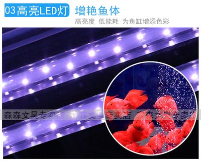 龍魚缸一天開幾小時(shí)燈：飼養(yǎng)龍魚每天魚缸的燈開多長(zhǎng)時(shí)間是一個(gè)有爭(zhēng)議的話題