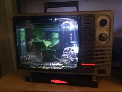 魚缸diy制作教程：如何自己動手制作魚缸