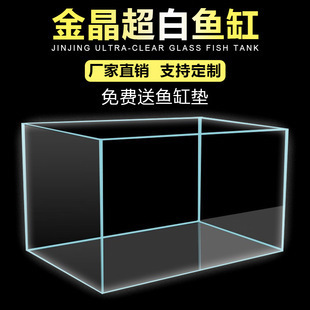 最貴的金龍魚品種排名（目前市場上最貴的金龍魚品種排名）