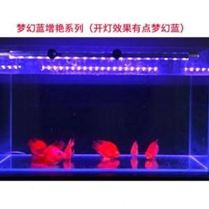 紅龍魚缸底用什么顏色的燈（關(guān)于紅龍魚缸底燈選擇的詳細信息紅龍魚缸底燈選擇的詳細信息）