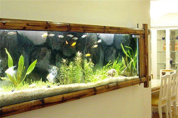 廣州平開商貿有限公司（廣州平開商貿有限公司怎么樣） 廣州平開商貿有限公司（廣州平開商貿有限公司怎么樣） 全國水族館企業名錄