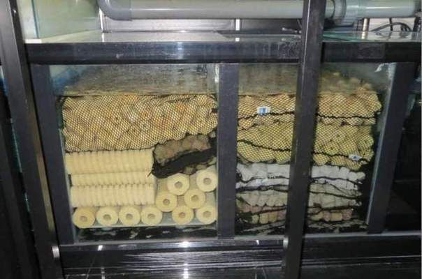 海豚魚缸過濾器怎么清洗：海豚魚缸過濾器清洗方法