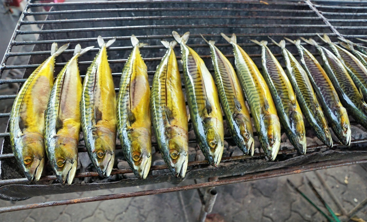 上海市小龍魚文苑幼兒園怎么樣啊 上海市小龍魚文苑幼兒園怎么樣啊 龍魚百科 第2張
