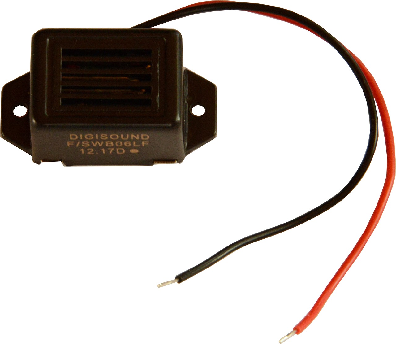 觀賞魚(yú)海洋生態(tài)系統(tǒng)科普教育（江北新區(qū)緣分觀賞魚(yú)水族館簡(jiǎn)介）