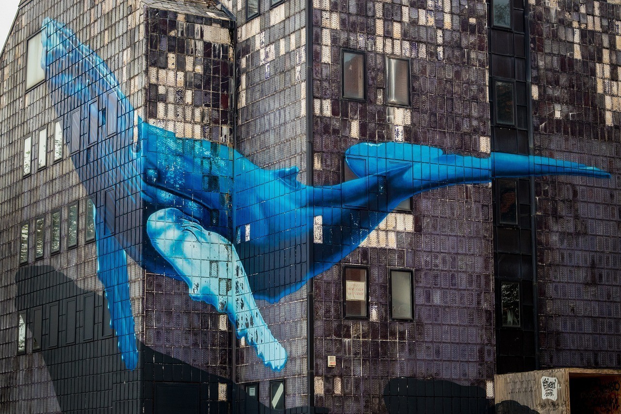 <strong><mark>深圳</mark></strong>市南山區海雅鯨龍魚缸專柜致禮