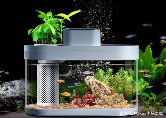小米畫法幾何魚缸：小米畫法幾何魚缸的設(shè)計(jì)