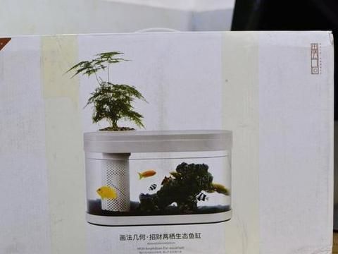 小米畫法幾何魚缸：小米畫法幾何魚缸的設(shè)計(jì)