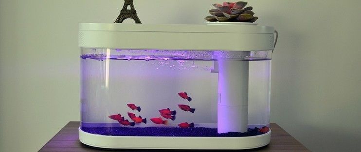 小米畫法幾何魚缸：小米畫法幾何魚缸的設(shè)計(jì)