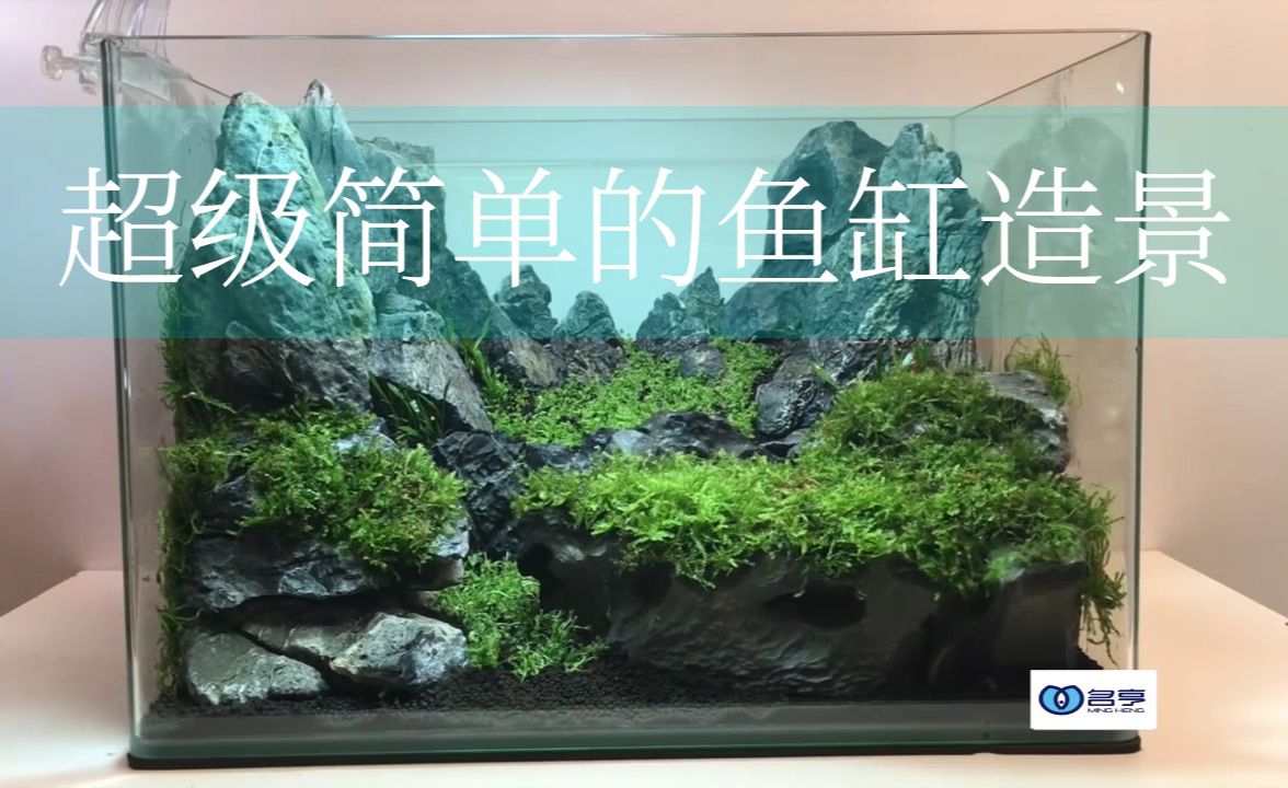 美學探索底濾魚缸：底濾魚缸的造景技巧 美學探索底濾魚缸：底濾魚缸的造景技巧 魚缸百科 第1張
