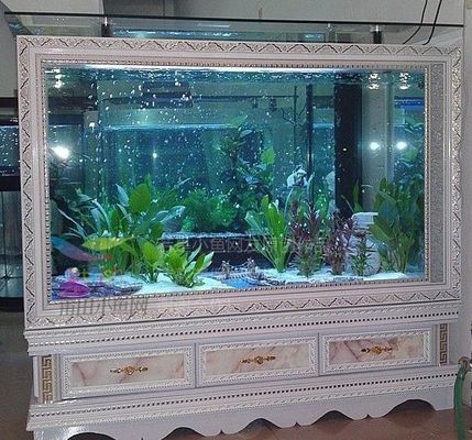 廣興水族魚缸廠（廣興水族魚缸廠30篇智腦大模型提煉5個關鍵詞）