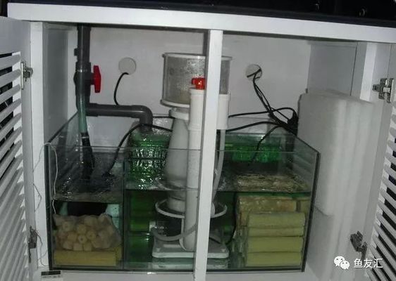 夏季魚缸過濾維護要點：夏季魚缸過濾系統的維護