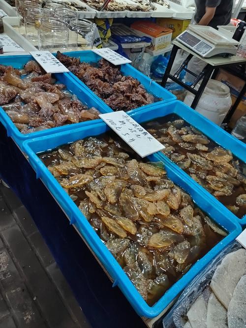 長春龍魚價格行情走勢
