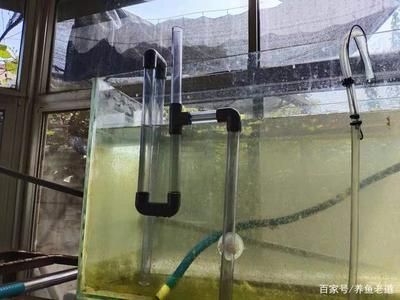 如何防止底濾魚缸的虹吸溢流，以上方法教程：如何防止底濾魚缸的虹吸溢流