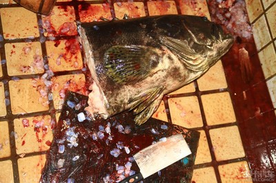龍躉魚大概賣多少一斤