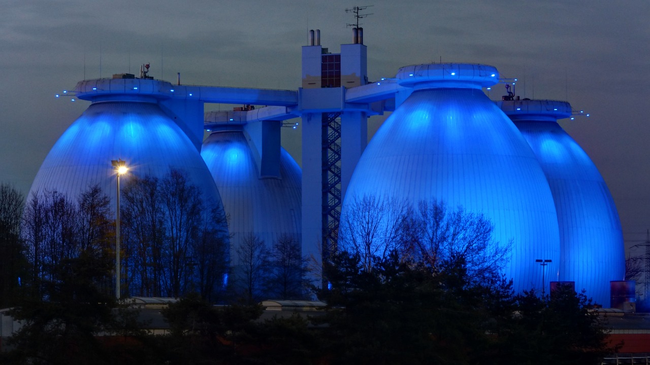 蘭州榆中顯顯霞霞觀賞魚店