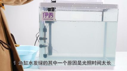 魚缸水發渾發白怎么處理