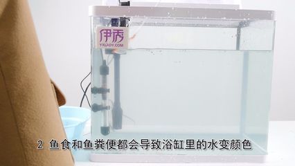 魚缸水發渾發白怎么處理