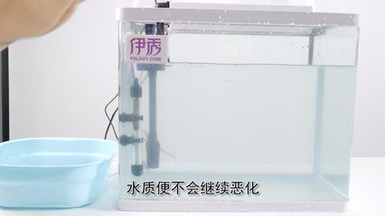 魚缸水發渾發白怎么處理
