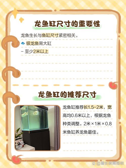 混養龍魚需要哪些設備