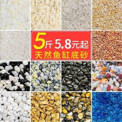 魚缸彩石造景圖片大全:魚缸彩石造景圖片大全詳情 魚缸百科 第5張 魚缸彩石造景圖片大全:魚缸彩石造景圖片大全詳情 魚缸彩石造景圖片大全:魚缸彩石造景圖片大全詳情 魚缸百科 第5張