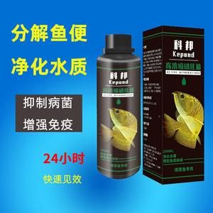 金龍魚鱗外翻是什么原因造成的【金龍魚鱗外翻是什么原因造成的金龍魚鱗外翻是什么原因造成的】 金龍魚鱗外翻是什么原因造成的【金龍魚鱗外翻是什么原因造成的金龍魚鱗外翻是什么原因造成的】 龍魚百科 第5張