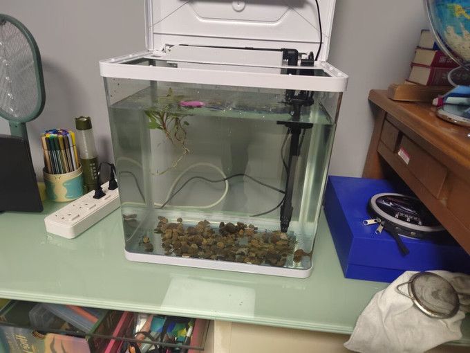意牌魚缸售后電話地址：意牌魚缸售后電話及地址詳情