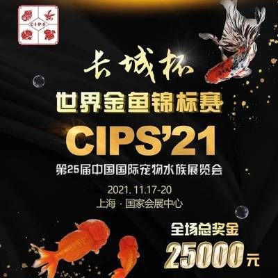 上海魚缸選秀（上海魚缸選秀是一個與上海地區(qū)的魚缸相關(guān)的活動或評選結(jié)果）