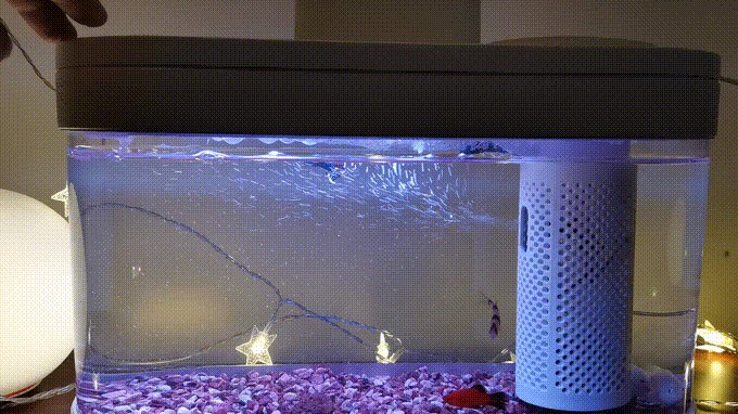 畫法幾何魚缸常見問題有哪些：畫法幾何魚缸水泵故障排查