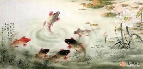 養金龍魚要加溫嗎：養金龍魚需要加熱棒嗎？