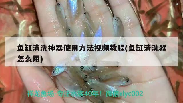 三都水族自治縣三洞社區一鄉一店手機店