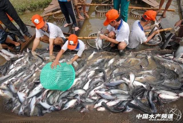 博特水泵F10是什么意思（ 博特水泵顯示err如何解決） 博特水泵F10是什么意思（ 博特水泵顯示err如何解決） 赤元素 第1張