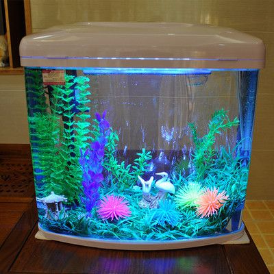 閩江魚缸廠家直銷價格查詢：閩江魚缸價格 閩江魚缸廠家直銷價格查詢：閩江魚缸價格 魚缸百科 第5張