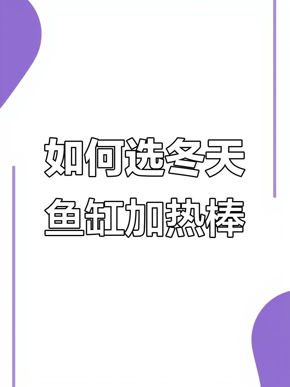 如何維持紅龍魚缸的穩定溫度？
