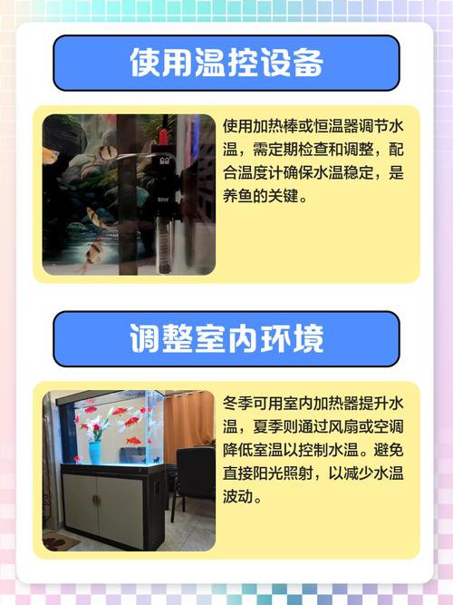 如何維持紅龍魚缸的穩定溫度？