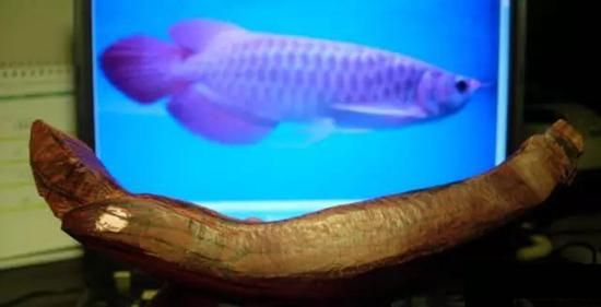 紅龍魚視頻標(biāo)題怎么寫好看：紅龍魚的視頻標(biāo)題優(yōu)化