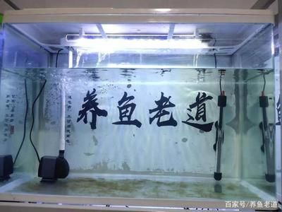 魚缸的水渾濁是水泵的問題嗎 魚缸的水渾濁是水泵的問題嗎 魚缸百科 第3張