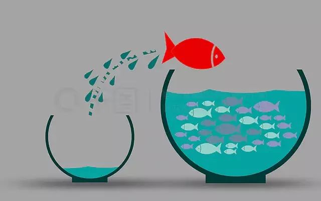 魚缸背景圖片大全超清 3d（3d魚缸背景圖片大全超清3d） 魚缸背景圖片大全超清 3d（3d魚缸背景圖片大全超清3d） 魚缸百科 第4張