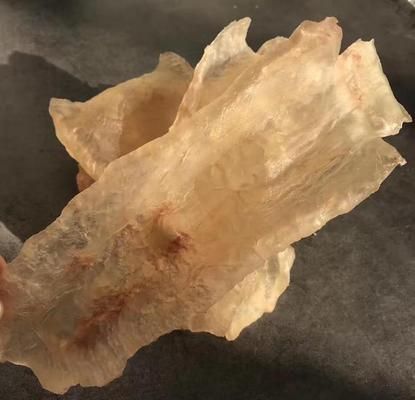 金龍魚魚膠種類，如何辨別真假金龍魚膠