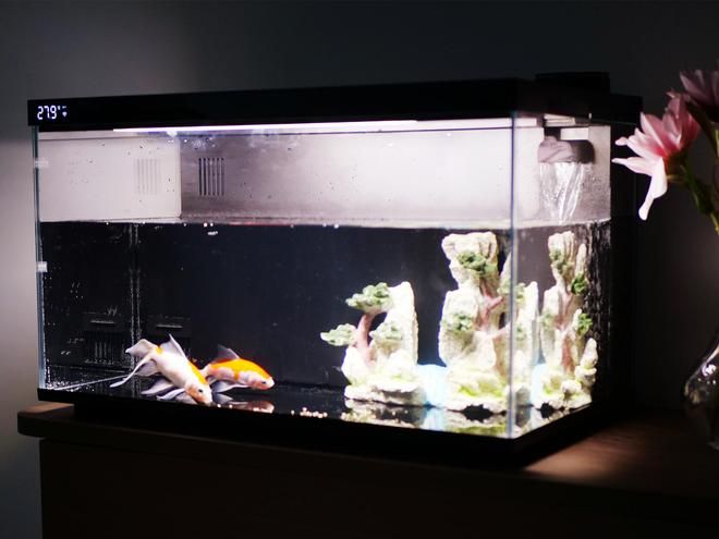 小米魚缸換水的正確方法：小米魚缸換水的正確方法小米魚缸換水的正確方法