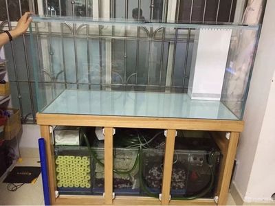 魚缸底濾魚缸底濾的設計原理是什么：如何選擇合適的底濾板