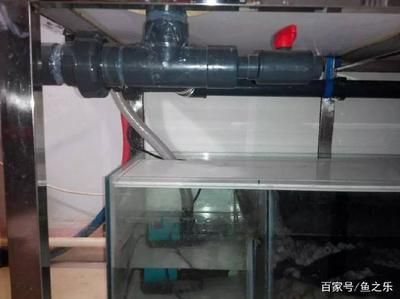 魚缸底濾的工作原理：底濾魚缸管的卸開方法 魚缸底濾的工作原理：底濾魚缸管的卸開方法 魚缸百科 第1張