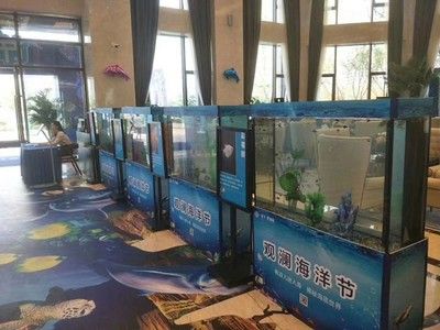 山西海之星水族工藝制品有限公司定制海鮮池和魚缸的選擇：山西海之星水族公司定制海鮮池和魚缸