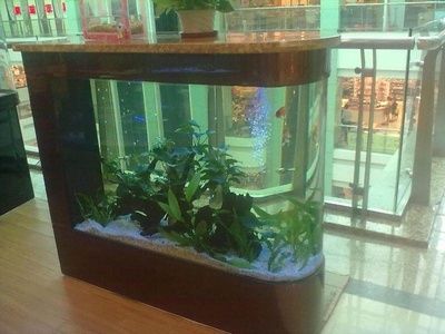 魚(yú)缸形狀對(duì)風(fēng)水影響解析：魚(yú)缸形狀對(duì)家居風(fēng)水影響