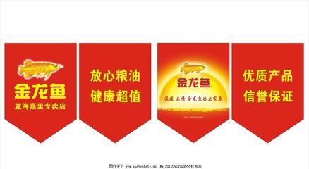 環(huán)翠區(qū)翌寧水族店