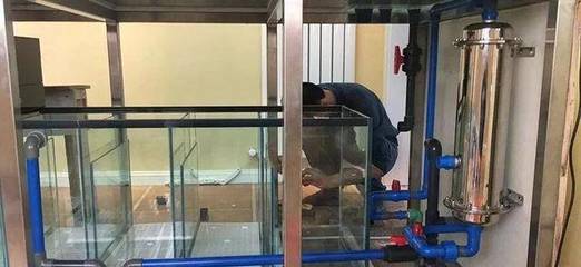 信都區德義軒水族店（信都區德義軒水族店電話）